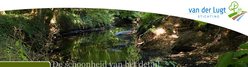 G.A. van der Lugt Stichting